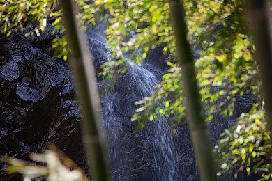 《幽灵线：东京》受疫情影响 导演鼓励开发组闲聊