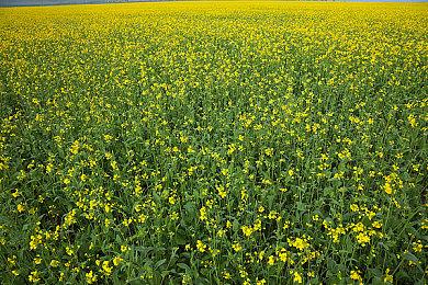 《地狱即我们》多平台试玩发布  第三人称动作冒险