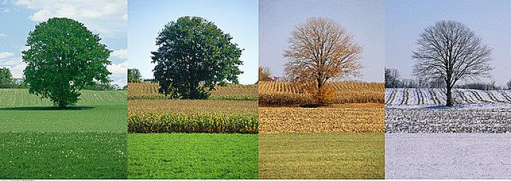 《真女神转生5》恶魔介绍：佛教明王统帅大元帅明王