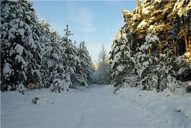 好评肉鸽《祝你好死》即将脱离抢先体验发布正式版